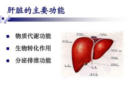 肝病咨询